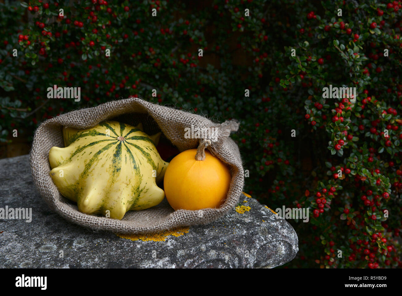 Sack with Crown of Thorns and orange gourds on bench Stock Photo