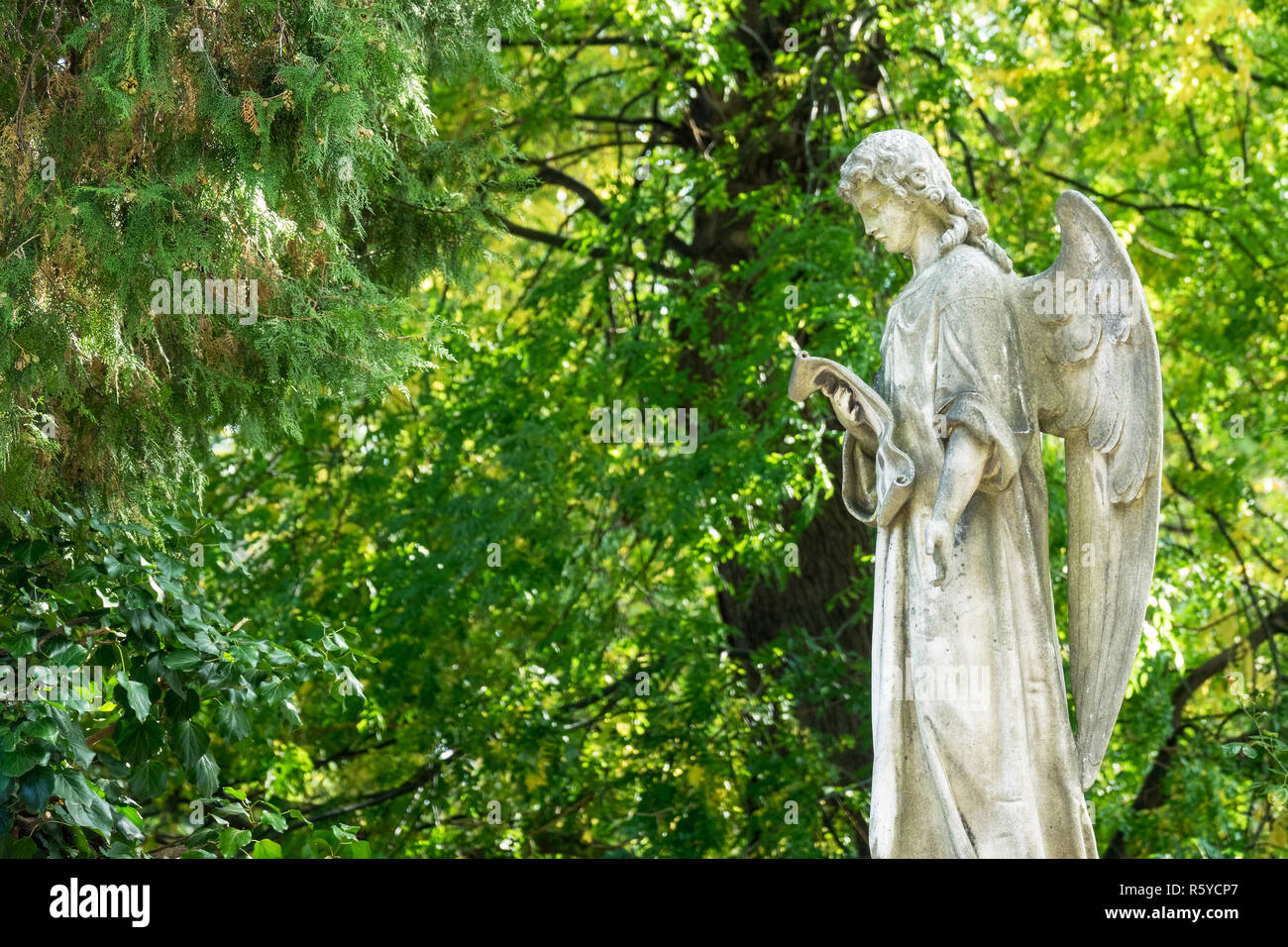 grave angels Stock Photo Alamy