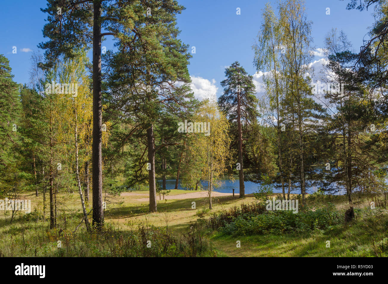 Colorful autumn landscape in the forest lake, Estonia Stock Photo