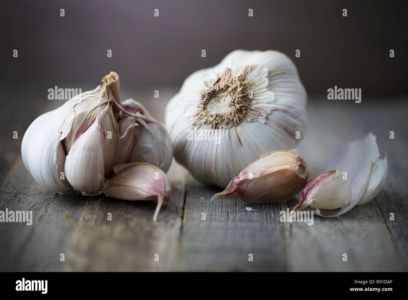 Head of Garlic with Cloves Stock Photo Alamy