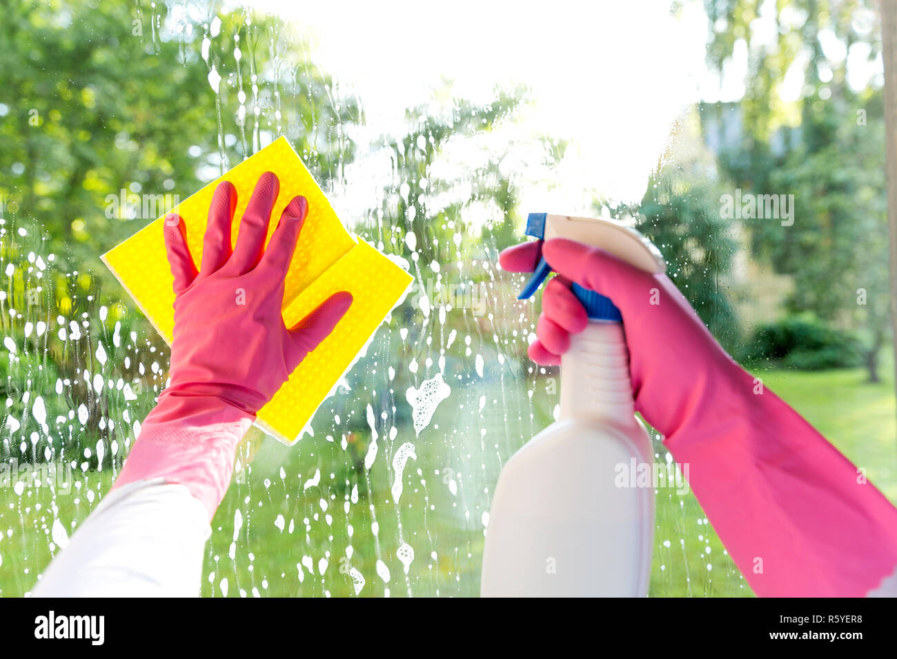 Female hands in pink gloves cleaning window with yellow rag and spray