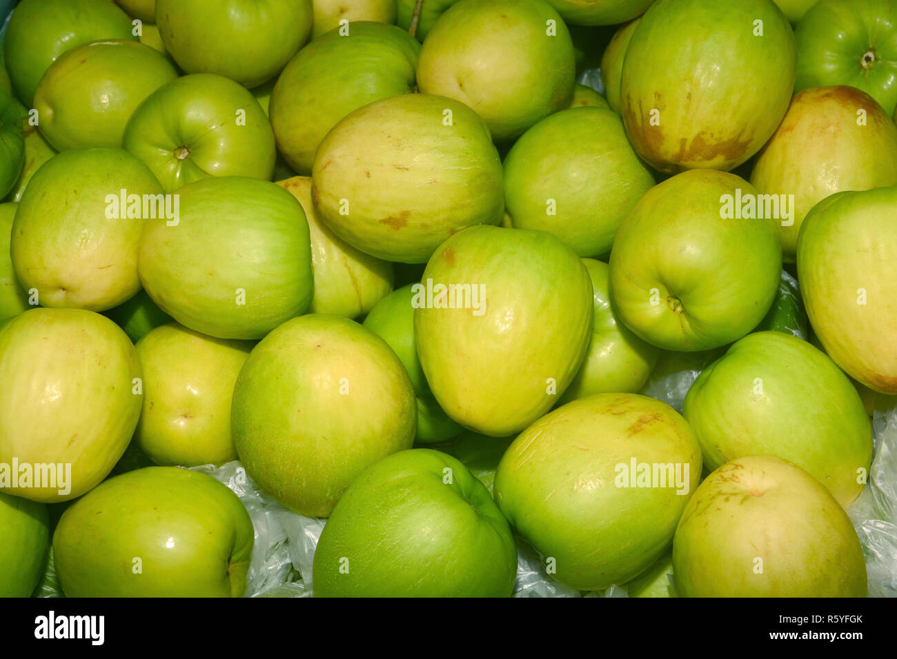 Monkey Ball Tree Fruit Fruit Trees