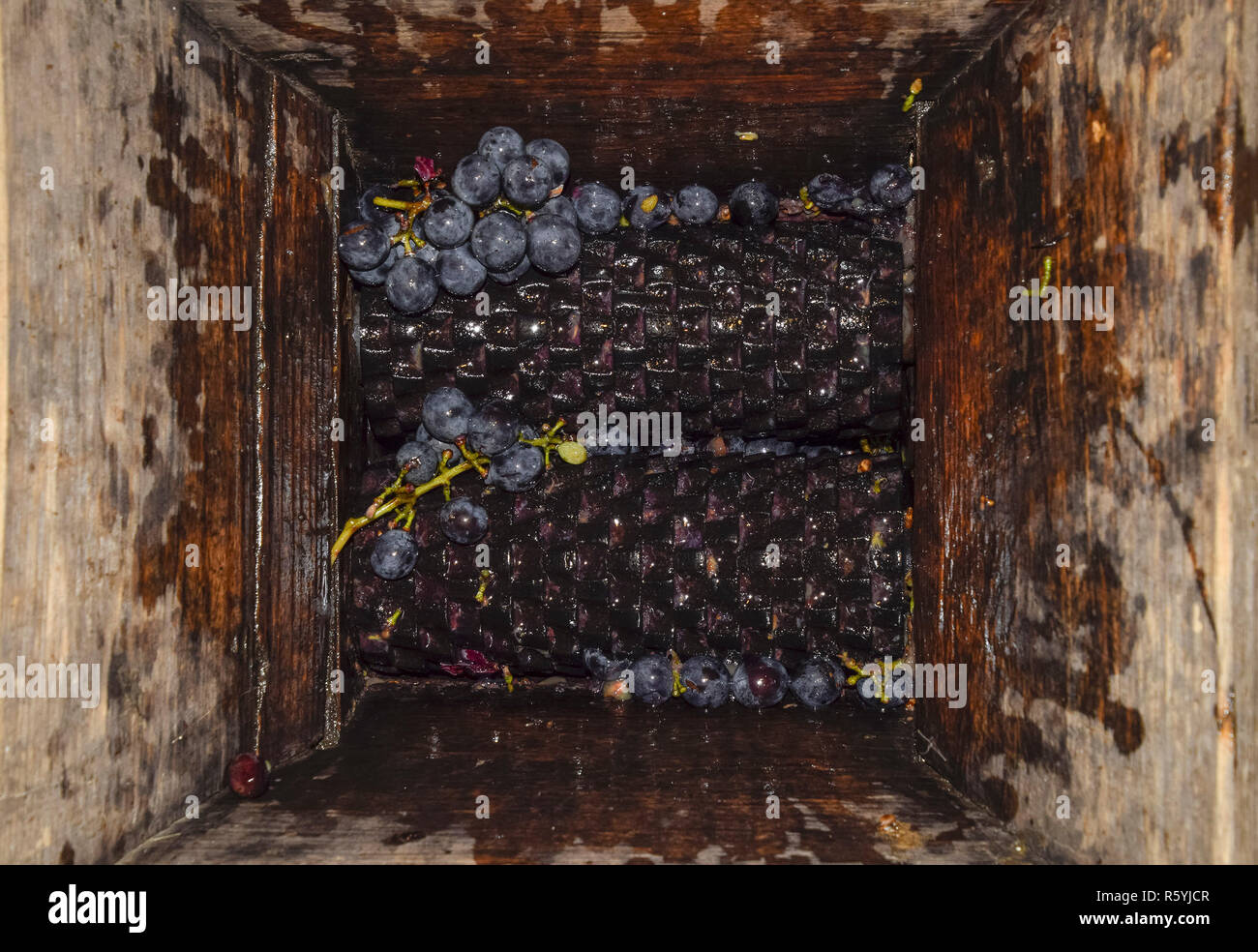 Manual mechanism for crushing grapes. Crush the grapes into juic Stock