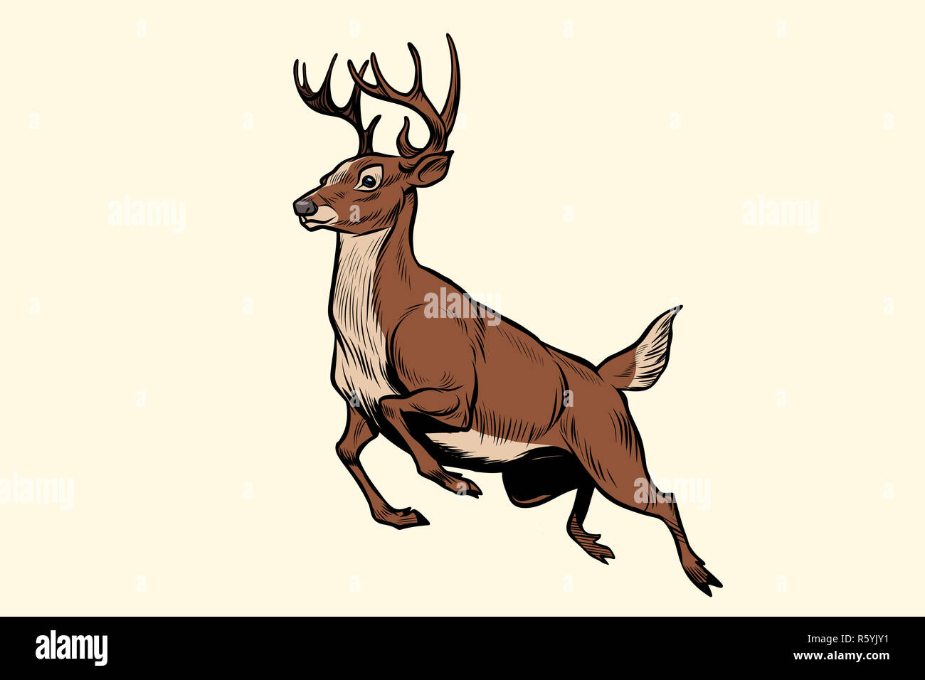 running deer jump Stock Photo Alamy