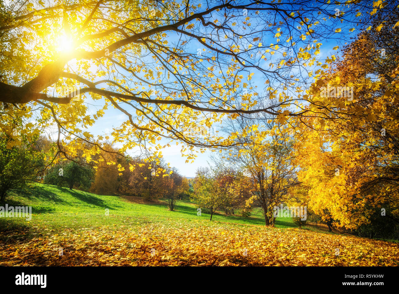 Sunny autumn in countryside Stock Photo