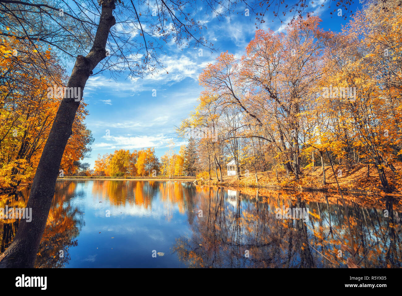 Sunny autumn in the park over lake Stock Photo