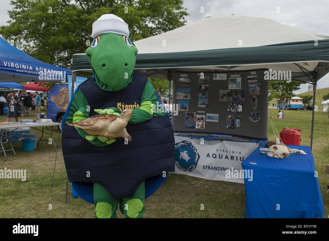 VIRGINIA BEACH, VA (April 22, 2017) - Stewie, the U.S. Navy's environmental turtle mascot, poses with a sea turtle sculpture from the Virginia Aquarium and Marine Science Center near the 'Stewards of the Sea: Defending Freedom, Protecting the Environment' exhibit during Earth Day 2017 at Mount Trashmore. The Virginia Aquarium and the Navy partners to conduct research projects that deploy acoustic transmitters and satellite tracking tags on rehabilitated and released sea turtles with the goal of learning more about residency times, migration patterns and foraging areas within the Chesapeake Bay Stock Photo