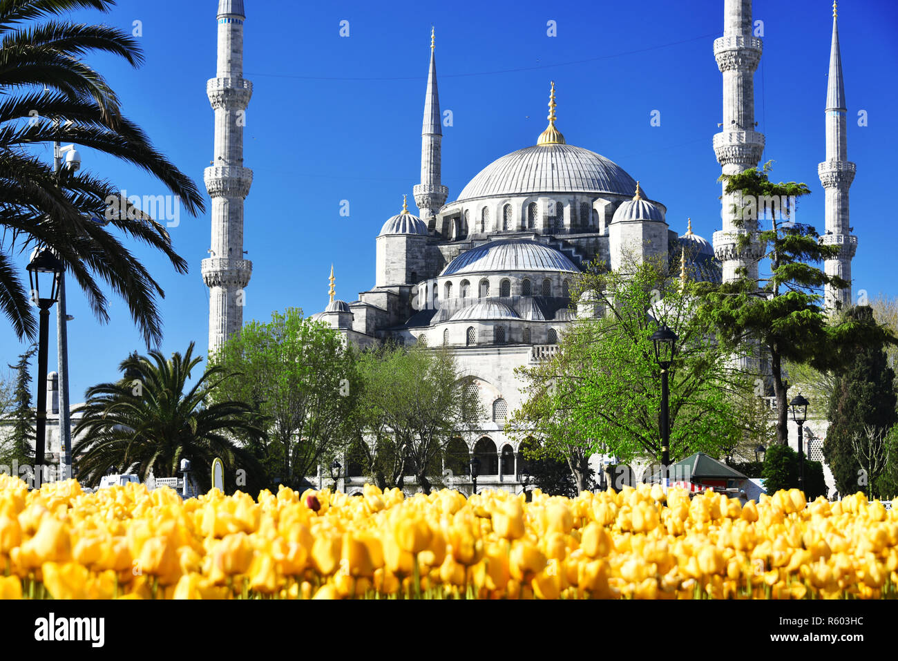 Sultan Ahmed Mosque or Blue Mosque in Istanbul, Turkey Stock Photo - Alamy