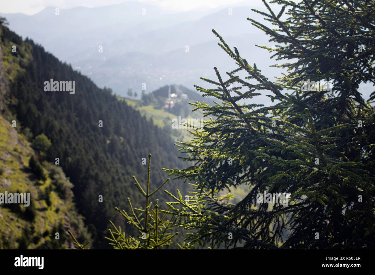 View of high plateau village, mountains and forest creating beautiful nature scene. The image is captured in Trabzon/Rize area of Black Sea region loc Stock Photo