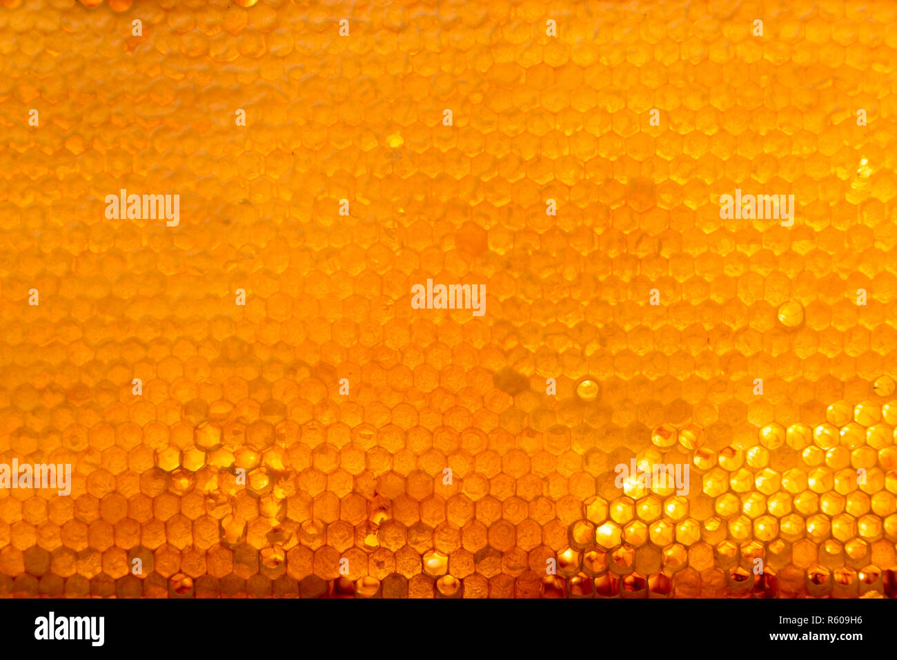 Hive Texture Background texture and pattern of a section of wax honeycomb from a bee ...