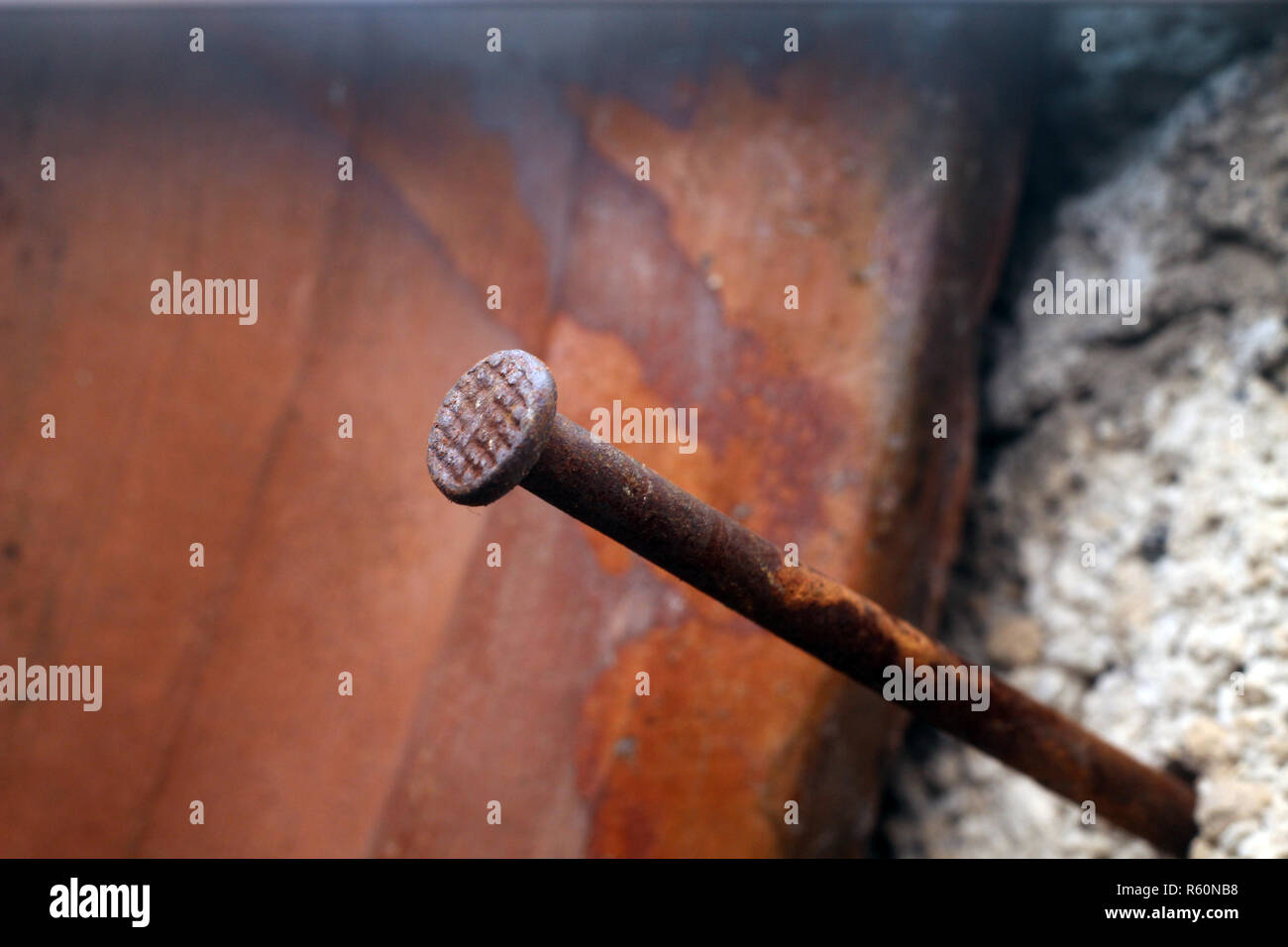 Rusty nail. Stock Photo