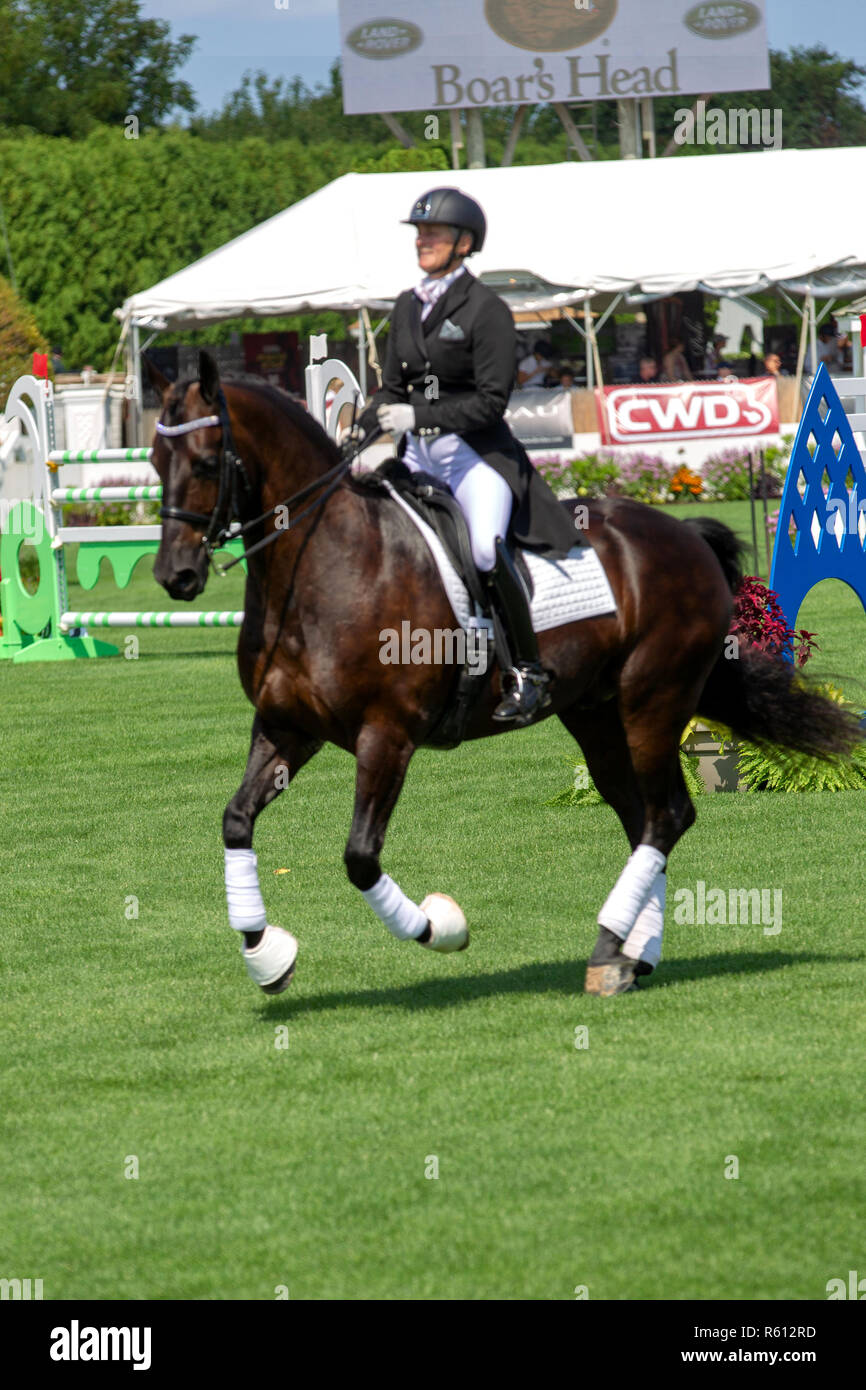 BRIDGEHAMPTON, NY AUGUST 26 Atmosphere at Hampton Classic Horse Show