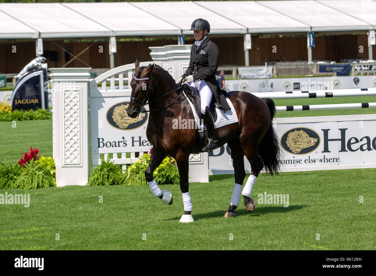 BRIDGEHAMPTON, NY AUGUST 26 Atmosphere at Hampton Classic Horse Show