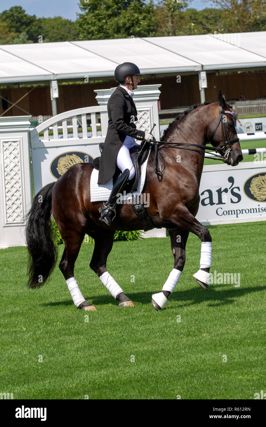 BRIDGEHAMPTON, NY AUGUST 26 Atmosphere at Hampton Classic Horse Show