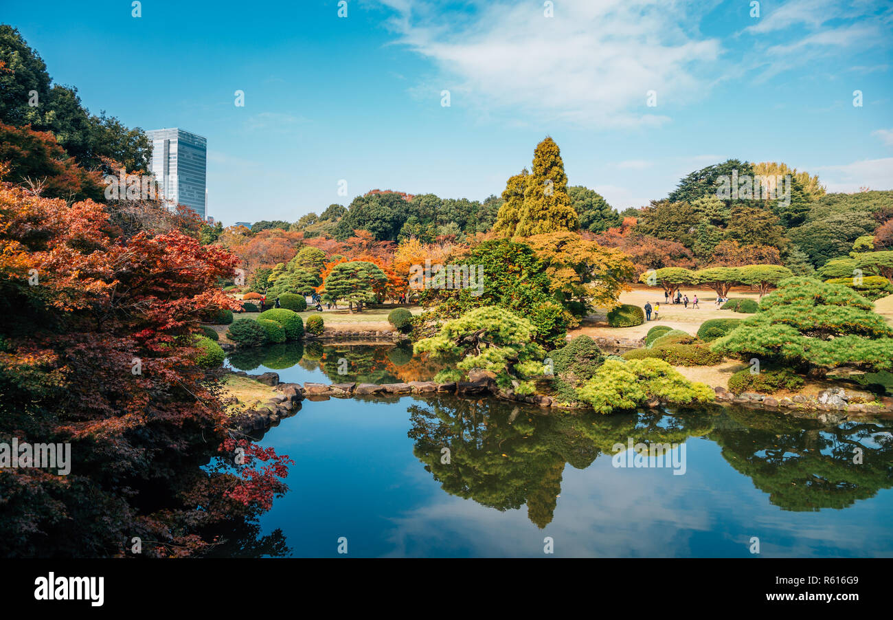 Shinjuku Gyoen park at autumn in Tokyo, Japan Stock Photo - Alamy