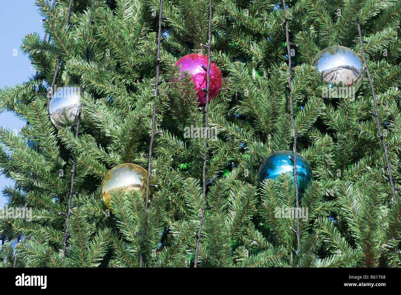 background with artificial fir branches and colored balls Stock Photo
