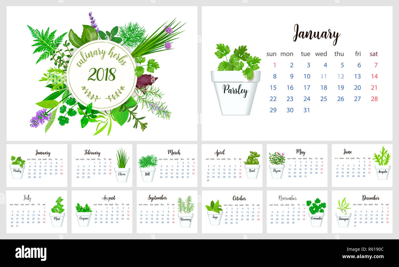 2018 Calendar Planner Design. Culinary herbs Stock Photo - Alamy