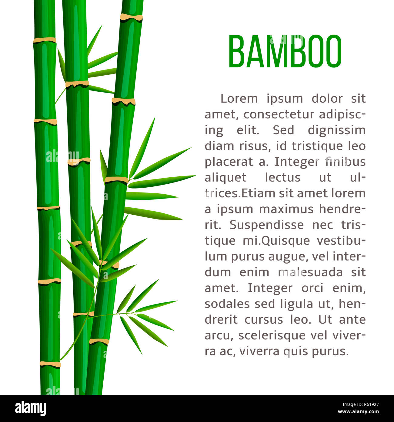 Textbamboo hires stock photography and images Alamy