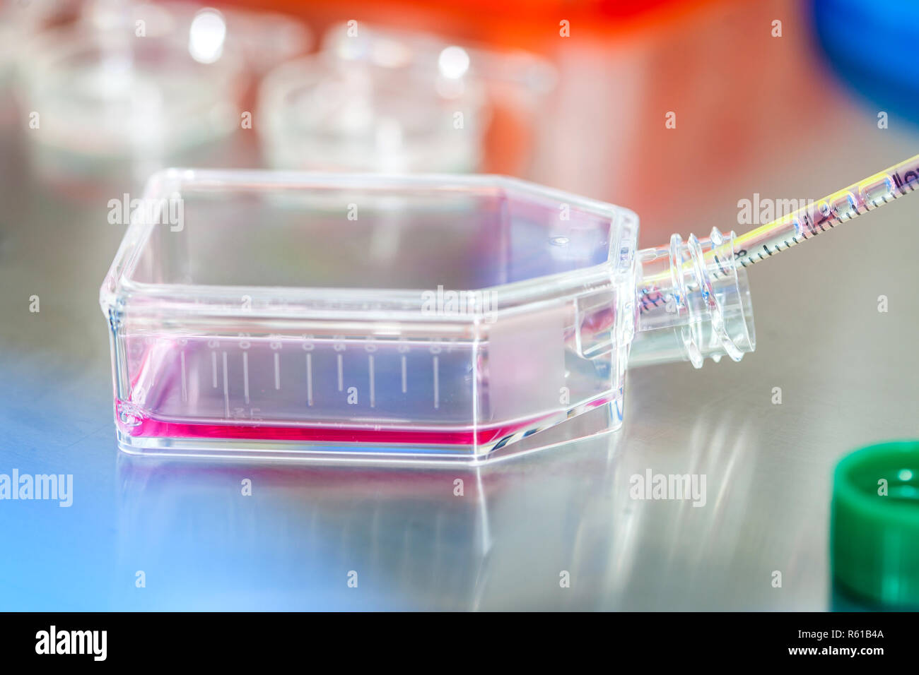 Cell culture flask under sterile hood at laboratory Stock Photo Alamy