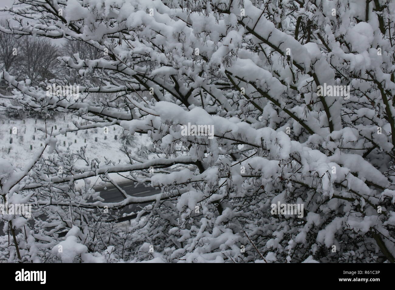 Snow in Kent Stock Photo Alamy