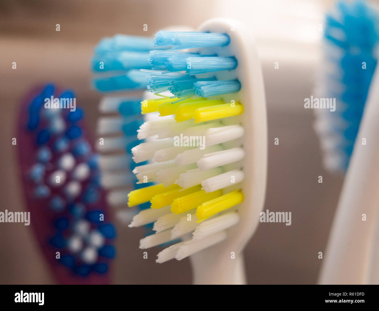 close up macro of tooth brush bristles head bathroom health teeth Stock ...