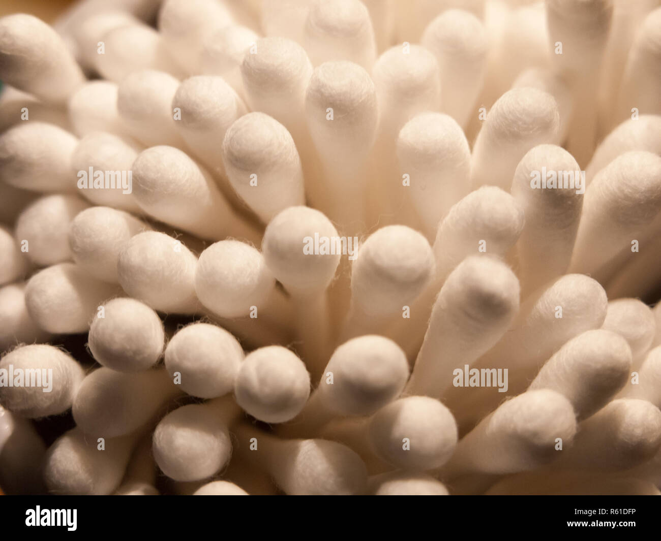 close of bunch of cotton wool bud q tips top Stock Photo Alamy