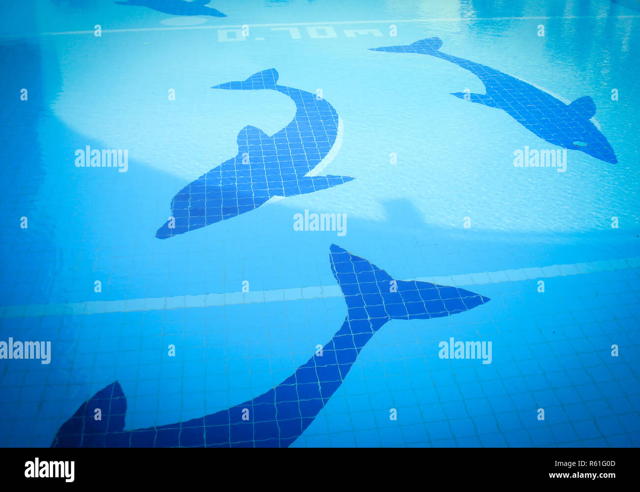 swimming pool tiles / dolphin pattern on swimming pool water blue