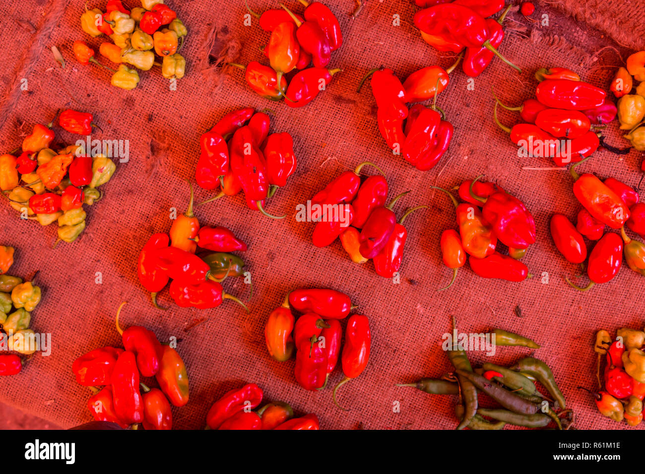 Red paprika being sold at local food market Stock Photo Alamy