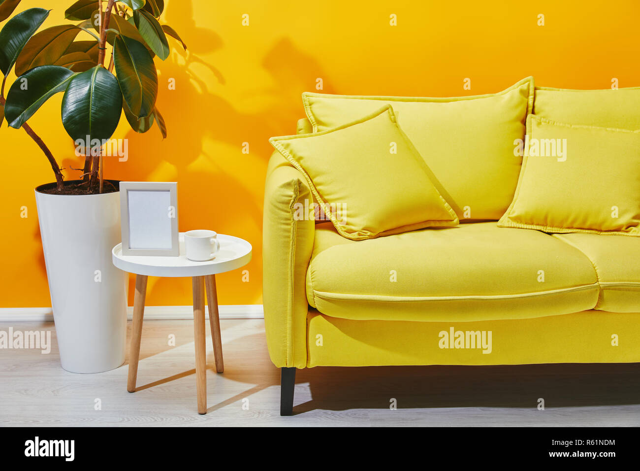 Sofa, ficus and little table with photo frame and cup of coffee near