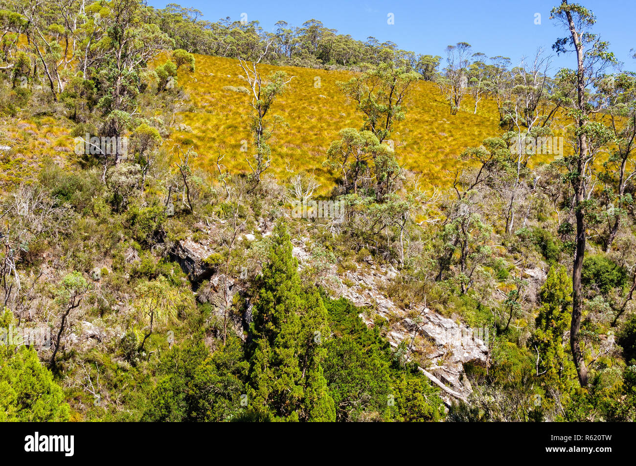 Dove Canyon Trail Cradle Mountain Stock Photo Alamy