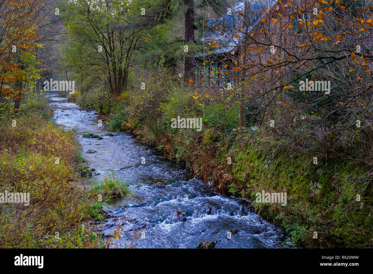 Forest forsthaus hi-res stock photography and images - Alamy