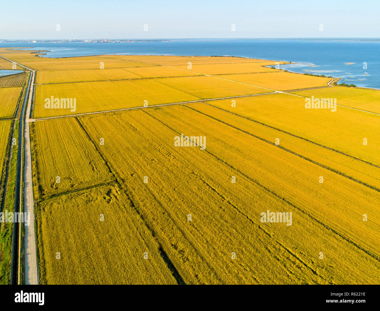 Aerial View of Rice Fields Stock Photo - Alamy
