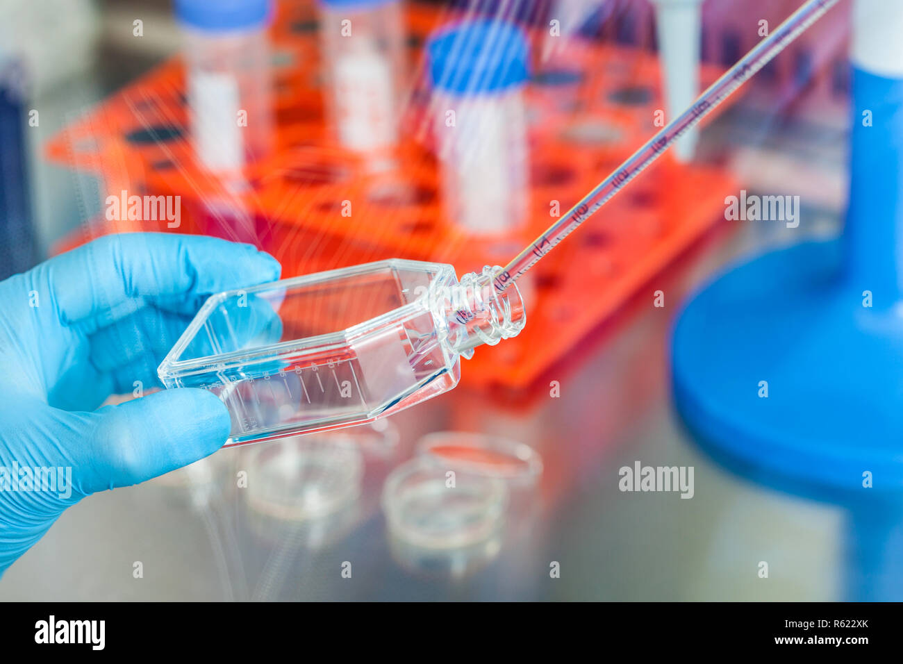 Scientist working with a cell culture flask under sterile hood at