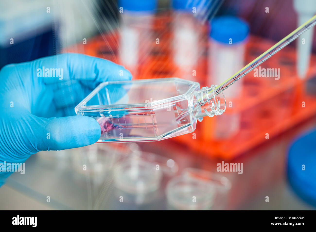 Scientist working with a cell culture flask under sterile hood at