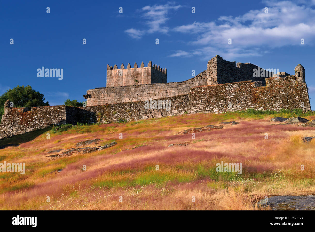 Medieval castle ruin with tower and walls Stock Photo