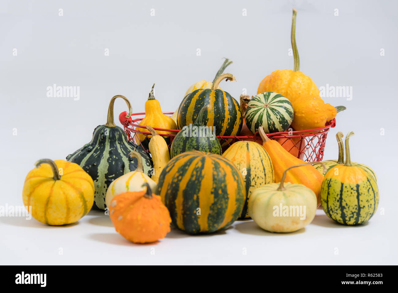 colorful ornamental squashes Stock Photo Alamy