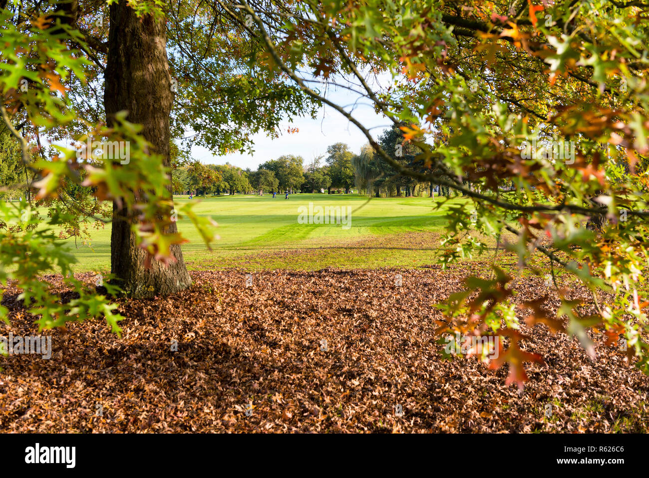 Autumn colour on a golf course hi-res stock photography and images - Alamy