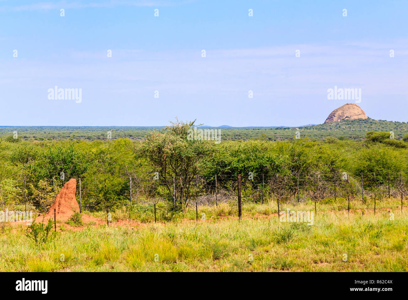 termite mound with landscape in namibia Stock Photo