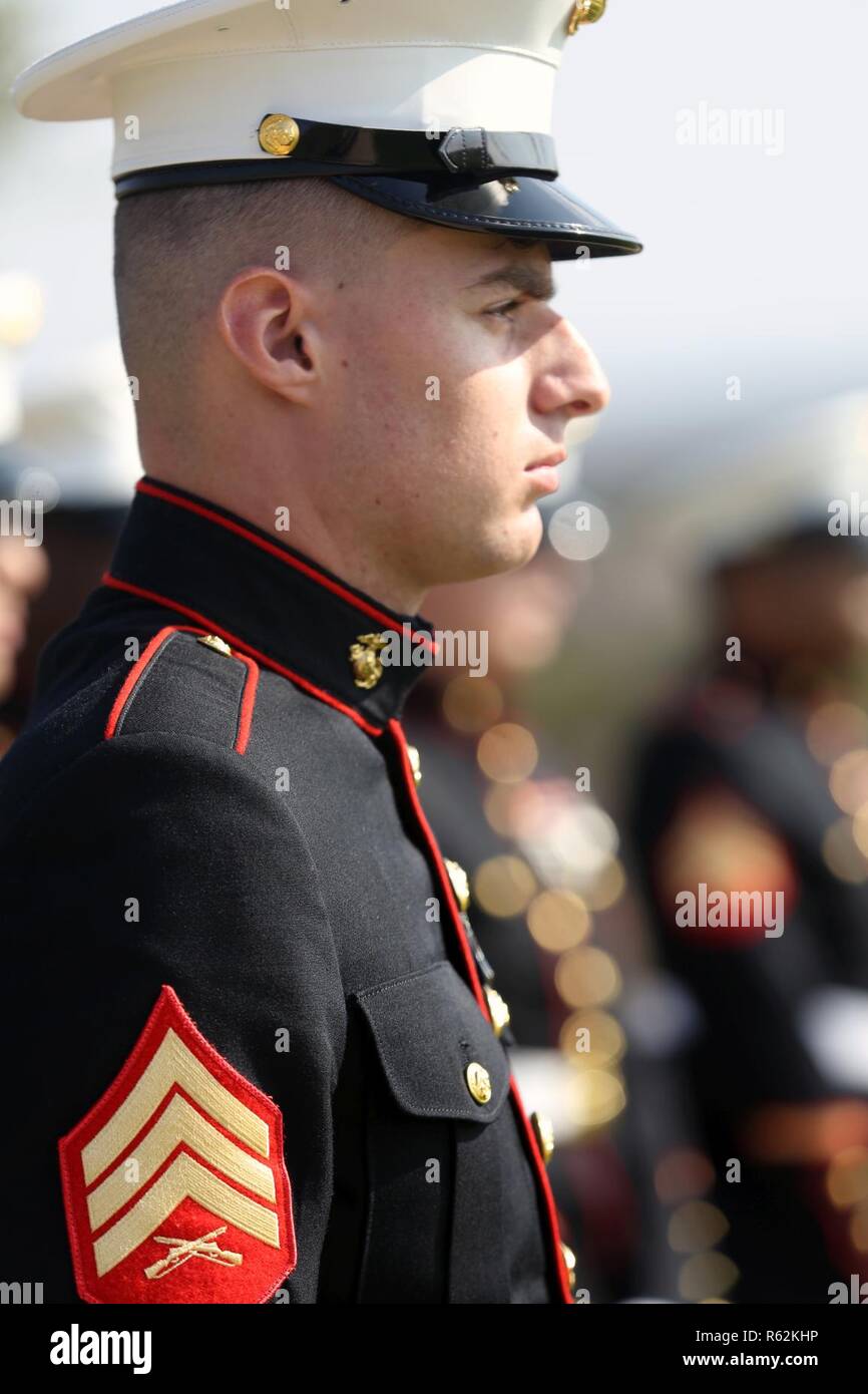 James Millard Facebook, Instagram, Twitter [Profiles]