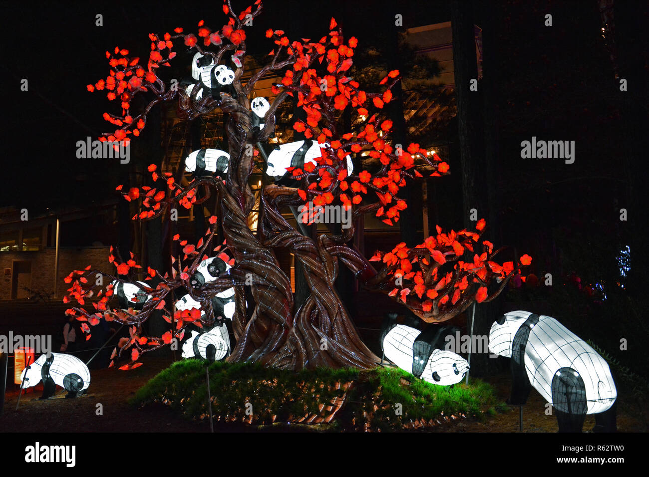 cary chinese lantern festival discount tickets