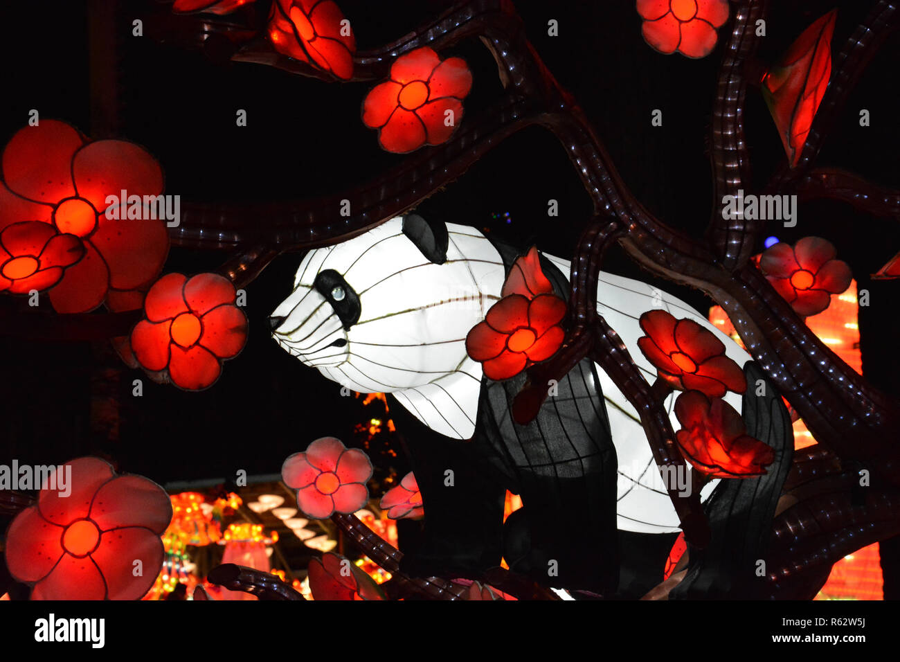 The annual North Carolina Chinese Lantern Festival held in the town of