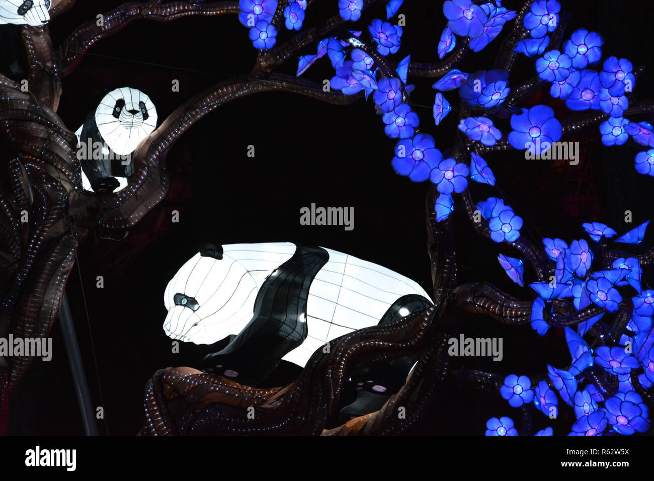 The annual North Carolina Chinese Lantern Festival held in the town of