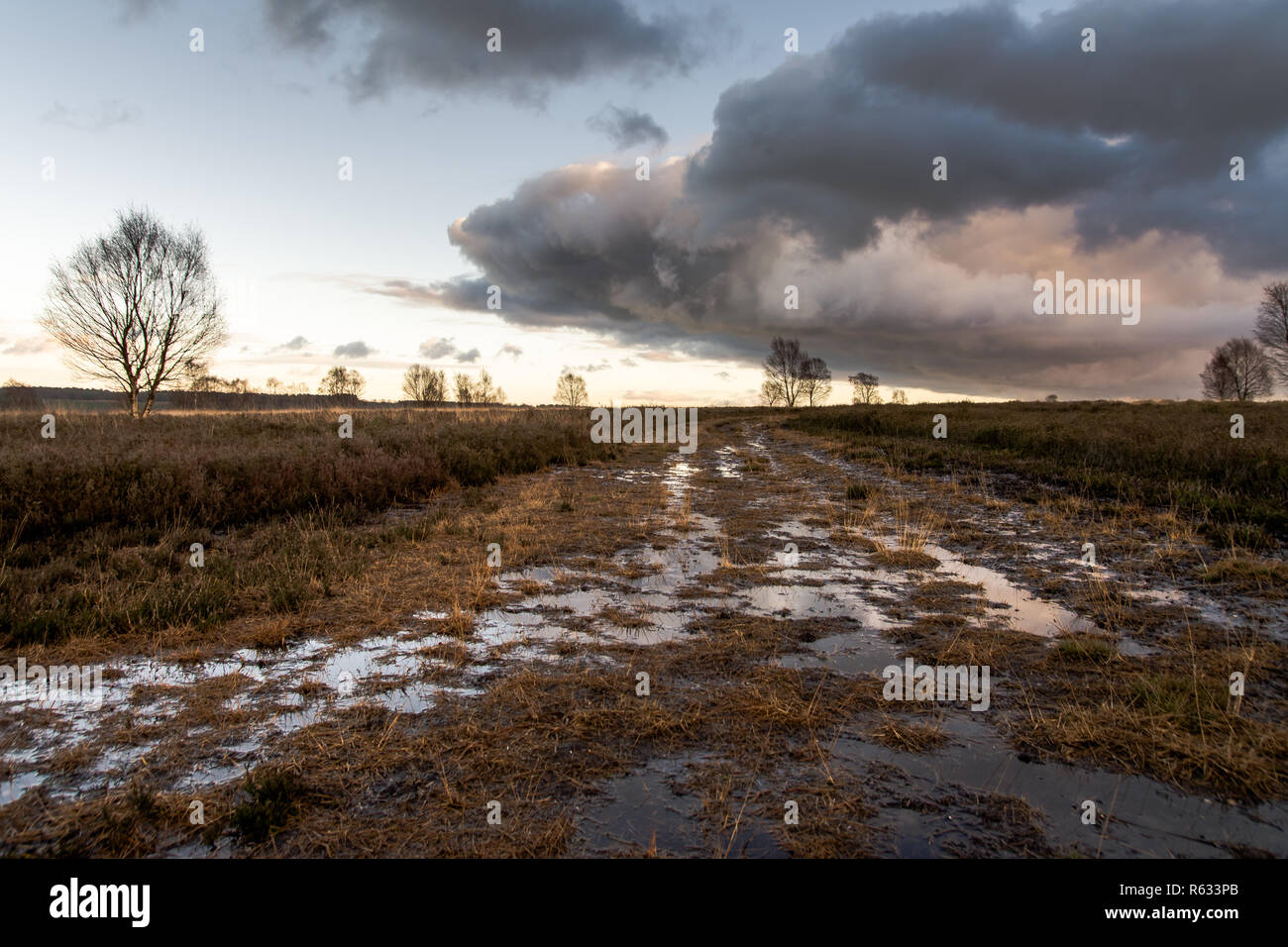 Cannock town hi-res stock photography and images - Alamy