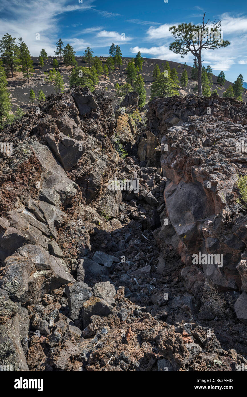 Squeeze-up section in Bonito Lava Flow, Sunset Crater Volcano National Monument,  Arizona, USA Stock Photo