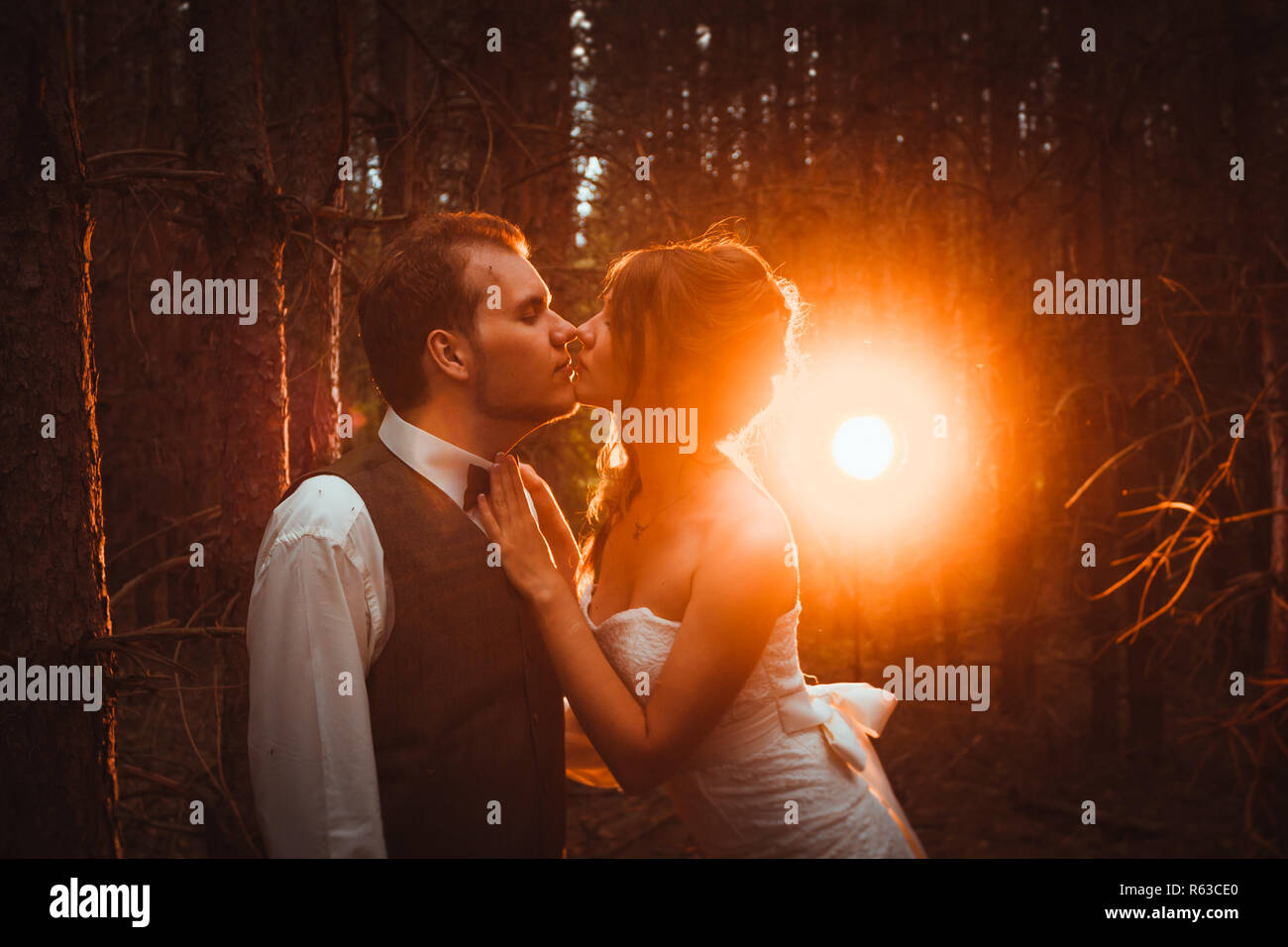 bride and groom in the forest of firs Stock Photo - Alamy