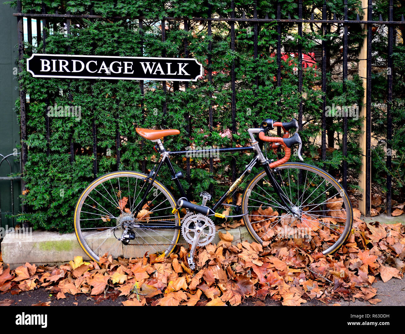 Cycle chained to railings in Birdcage Walk, London, England, UK. Autumn leaves Stock Photo