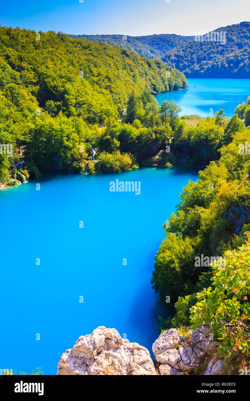 Lakes and forest. Stock Photo