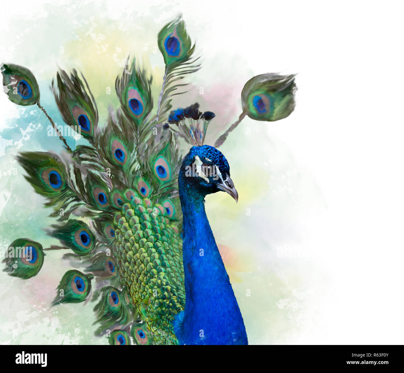 Watercolor Art & Collectibles Peacock Watercolor Painting Painting etna