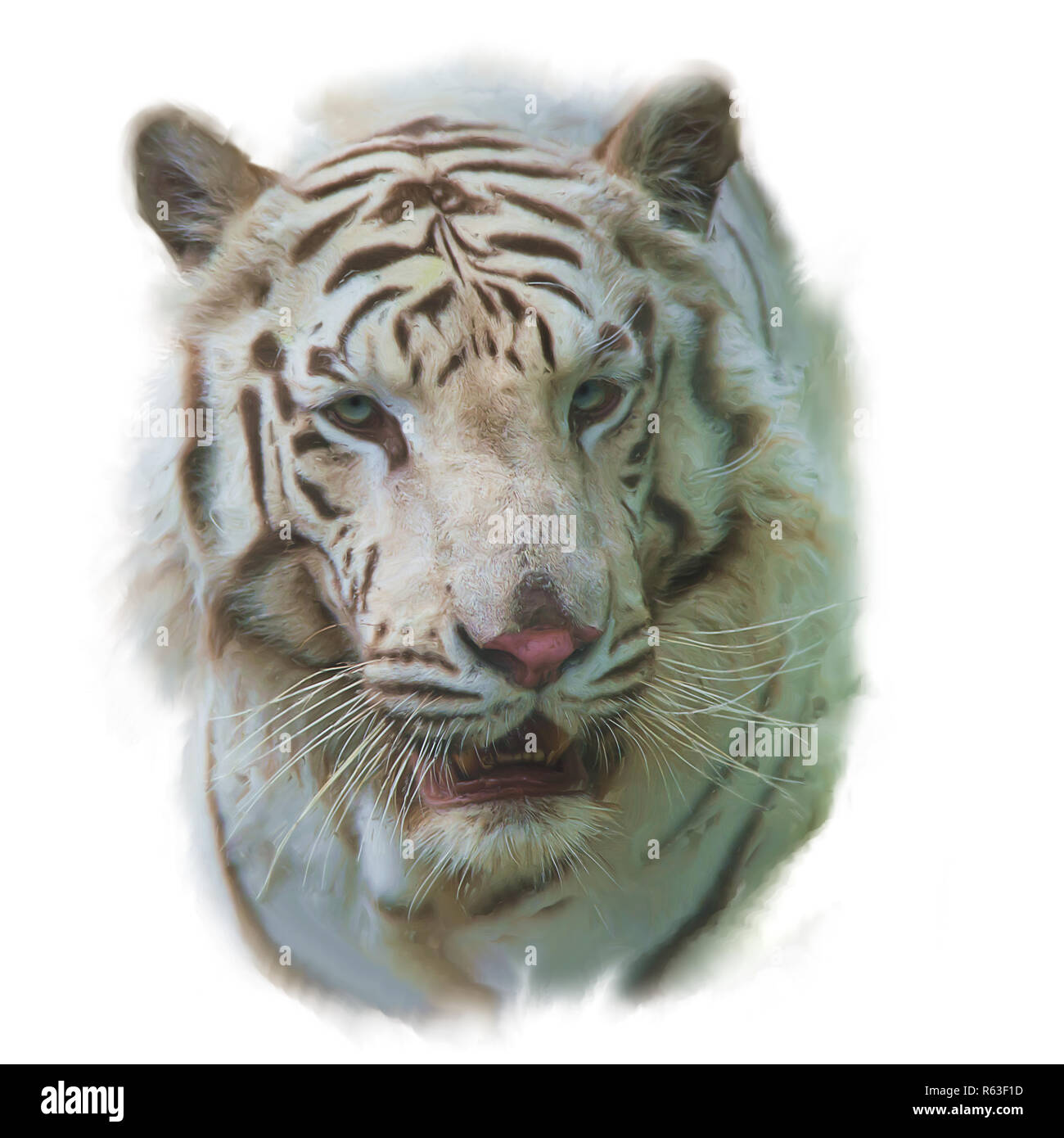 Close Up Portraits of roaring Bengal Tiger. Digital artwork Stock  Illustration