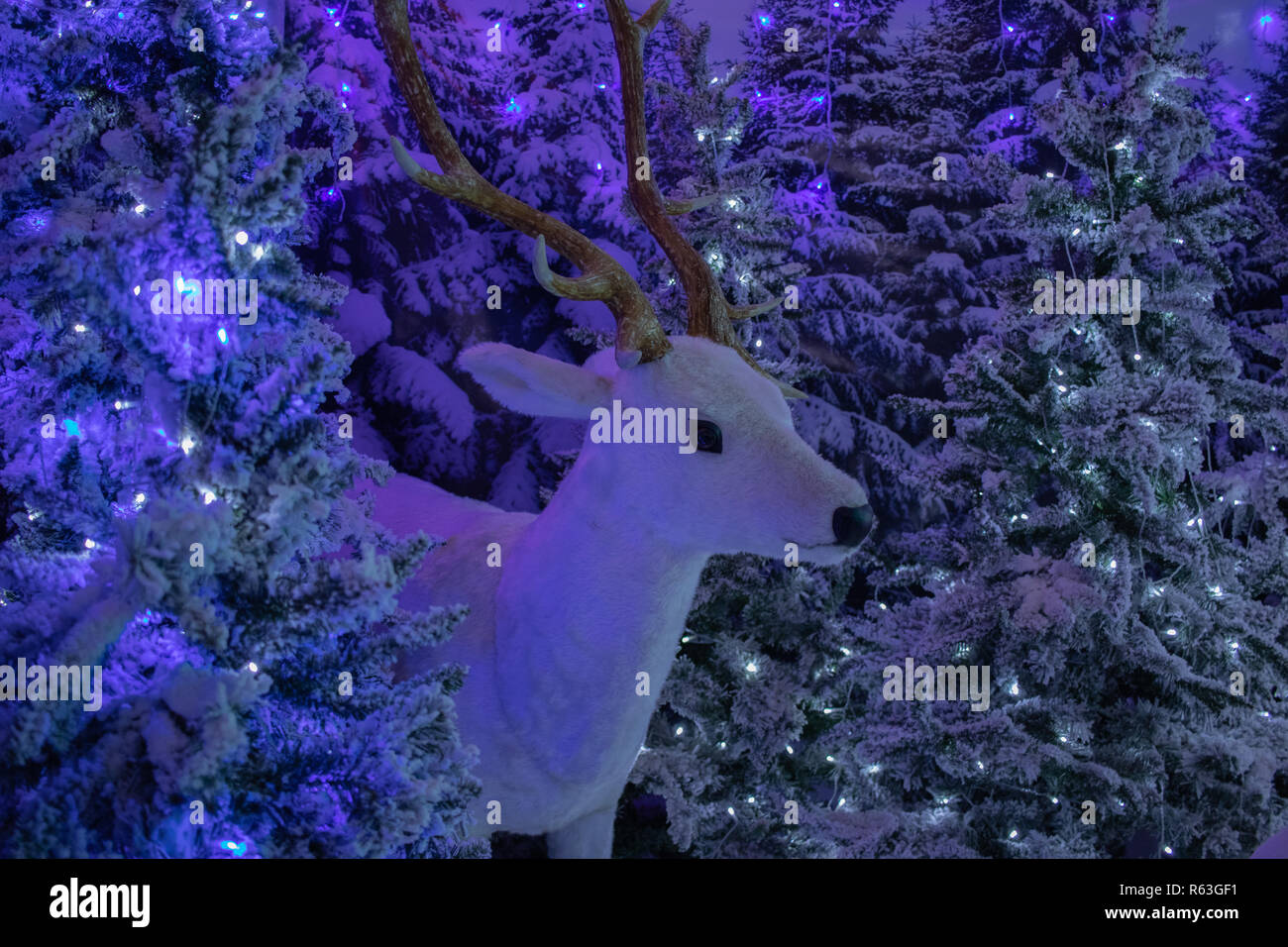 White Reindeer Christmas Decoration With Frosted Christmas Trees